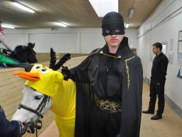 DSC_0256-2_web